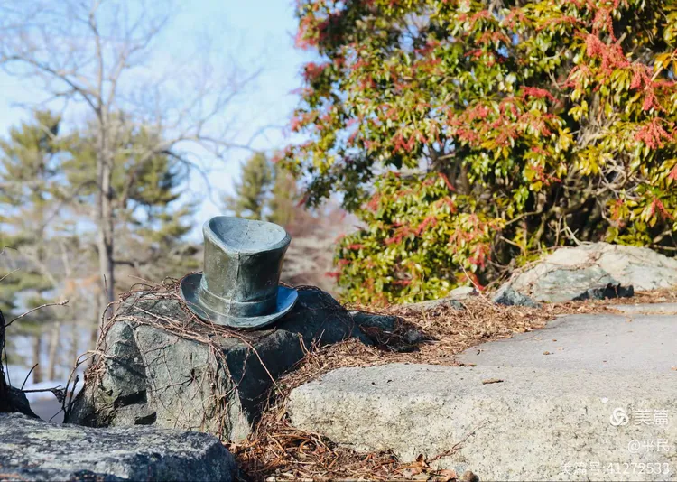 德科多瓦雷德fgo莫德雷德